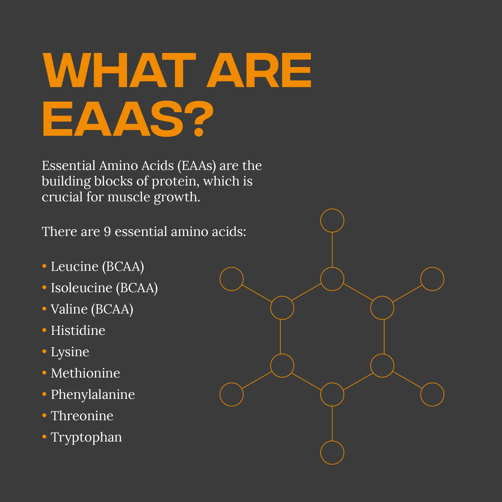 EAA - Image 8